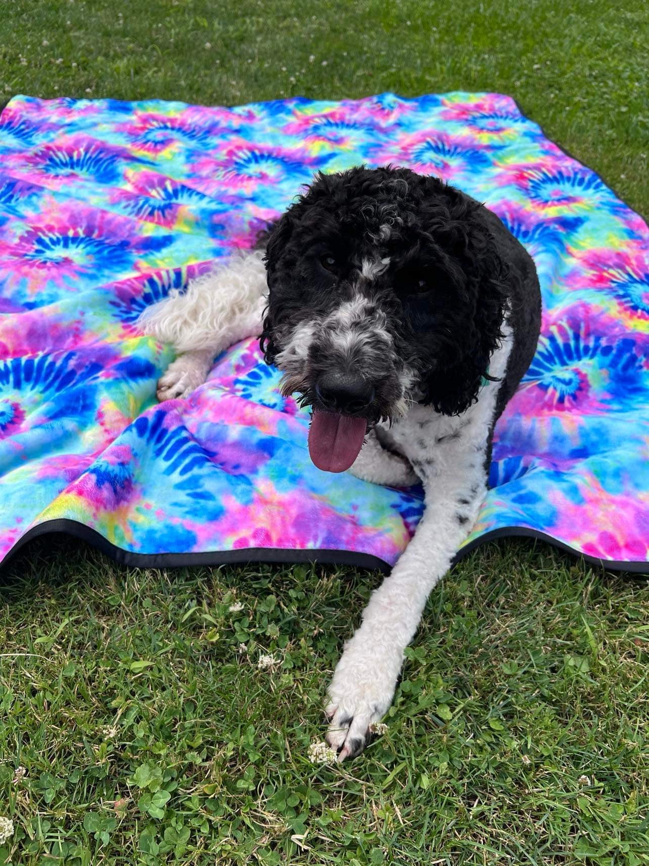 Stadium Blanket