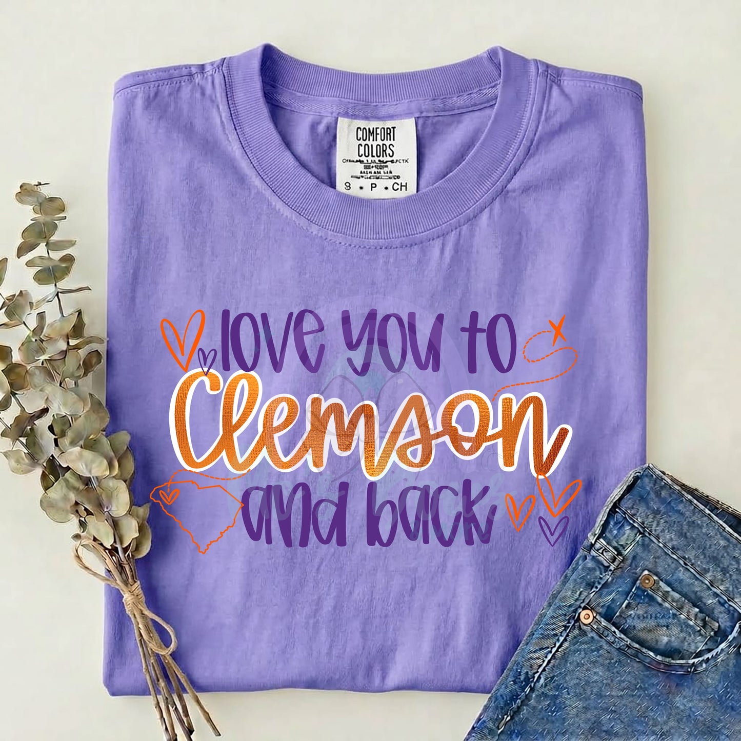 Clemson and Back